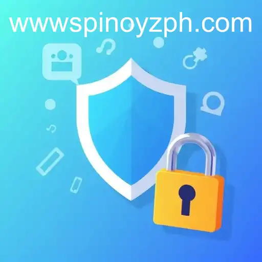 Exploring the Privacy Policy of SPINOYZ.COM